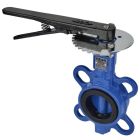 Затворы дисковые поворотные